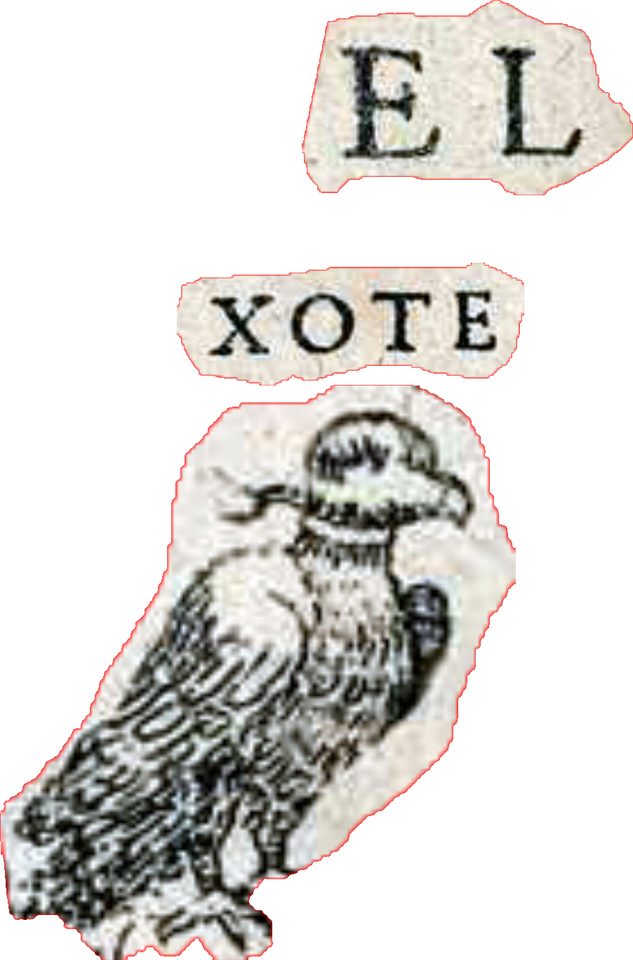 Don Quixote text and illustrated bird